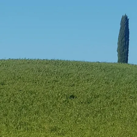 Dimora In Francigena Parque de Campismo San Quirico dʼOrcia